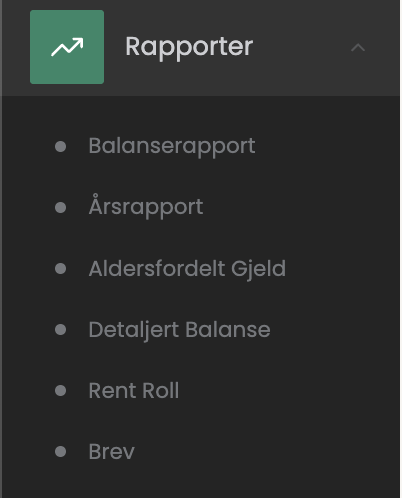 Rapporter